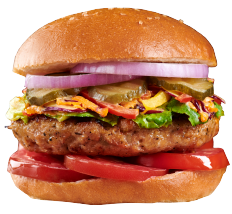 Grilled Chicken Burger